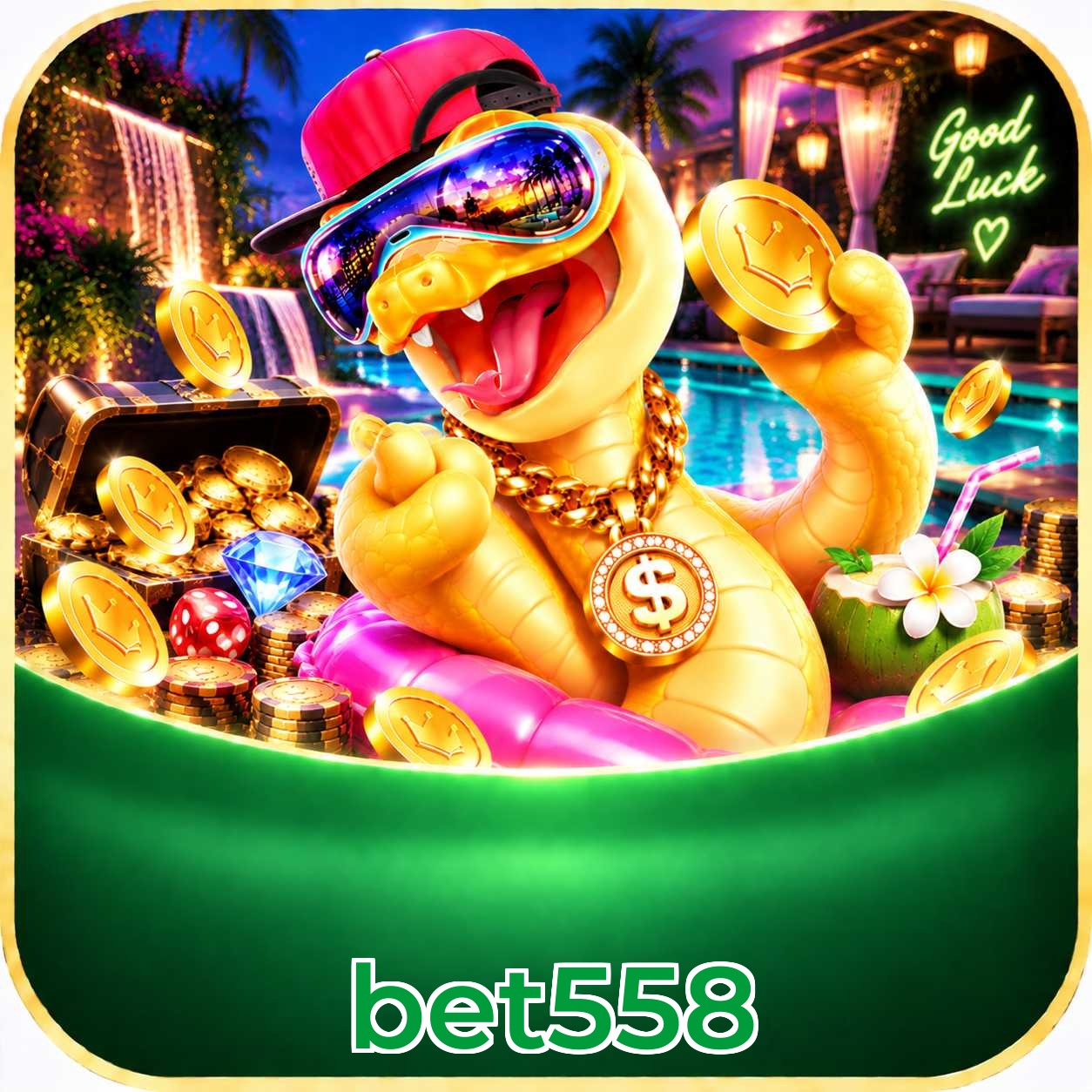 bet558 VIP FAQ